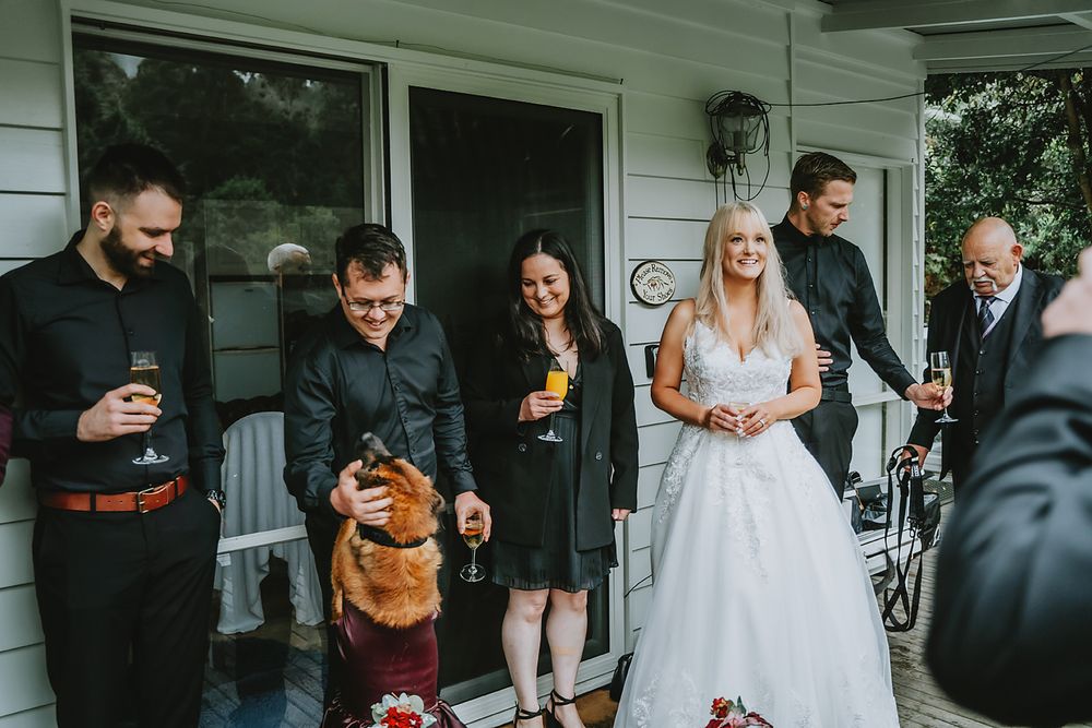 A series of candid wedding moments displayed in a filmstrip style collage showing guests and celebrations.