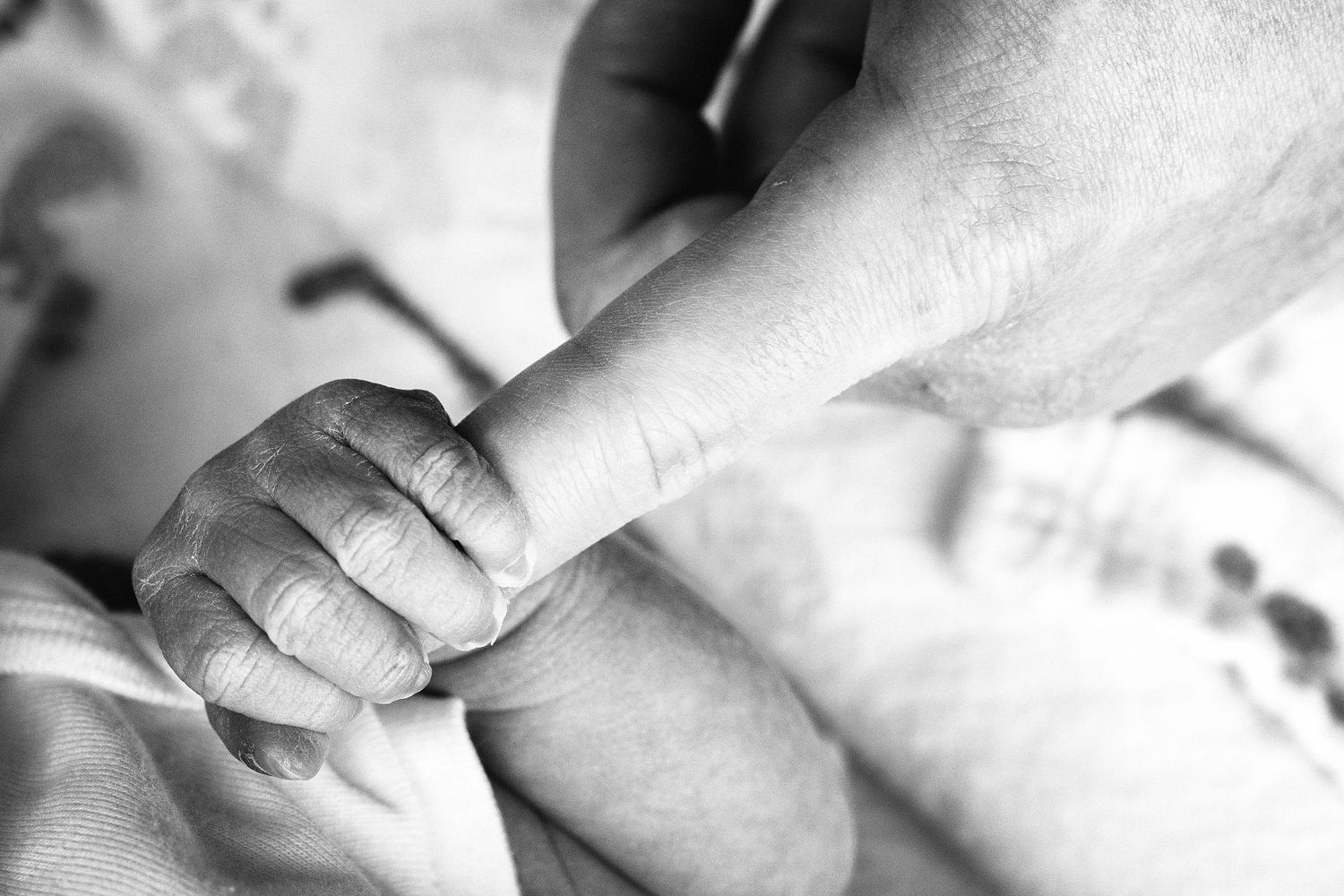 Black and white close-up photo of hands gently holding and examining a newborn baby's tiny feet.