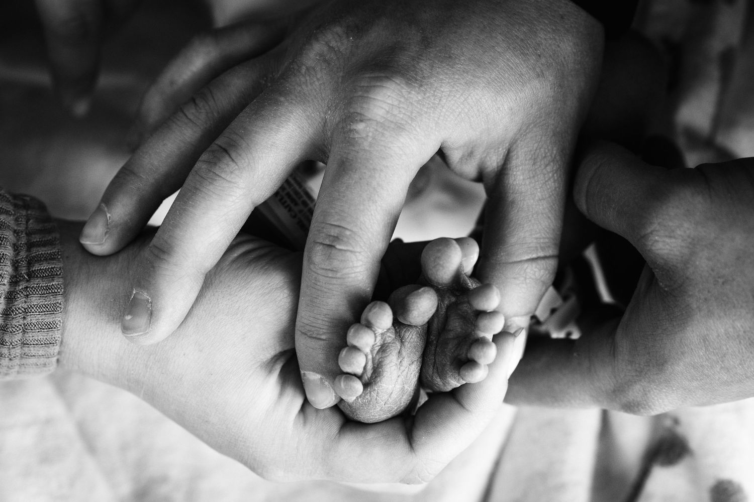 A close-up black and white photograph shows hands gently holding and examining a small baby's feet.