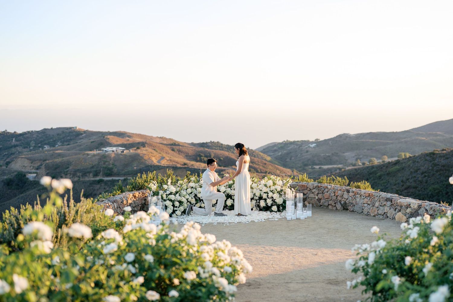 Rolling hills and coastal landscape with white wildflowers blooming in the foreground along a scenic trail.
