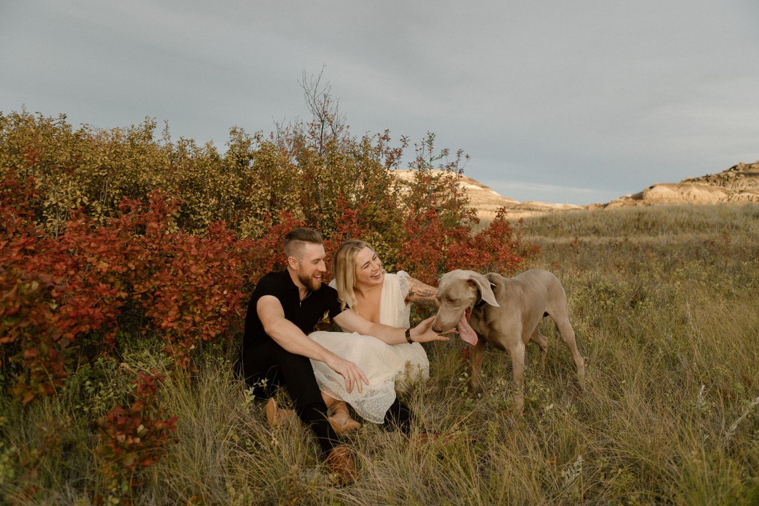 Happy couple sitting in fall landscape with their Weimaraner dog.