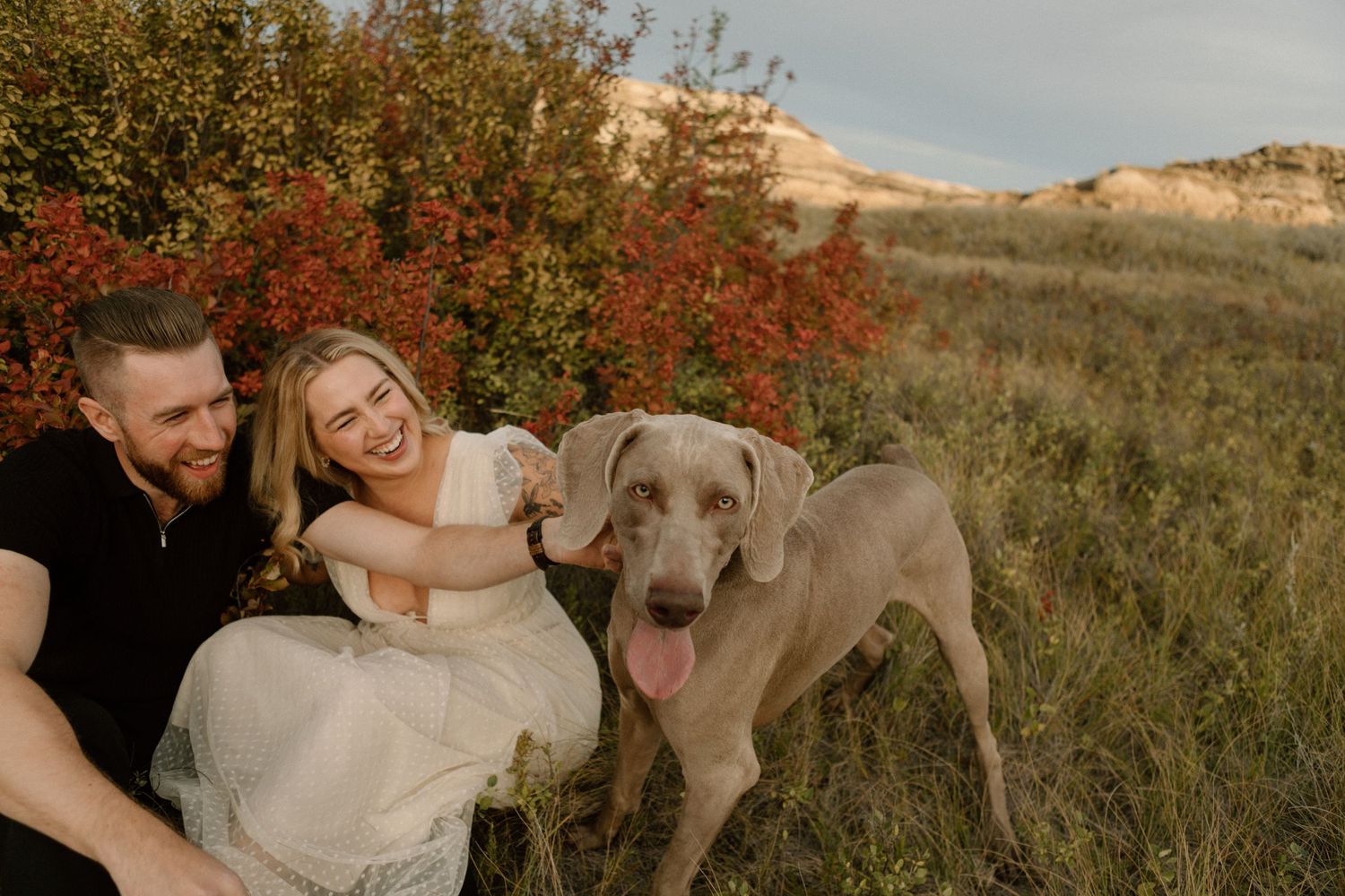 Casual portrait with smiling Weimaraner dog against autumn foliage and hills.