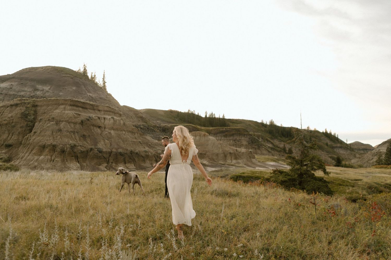 A scenic outdoor portrait with a Weimaraner dog against dramatic badlands terrain.