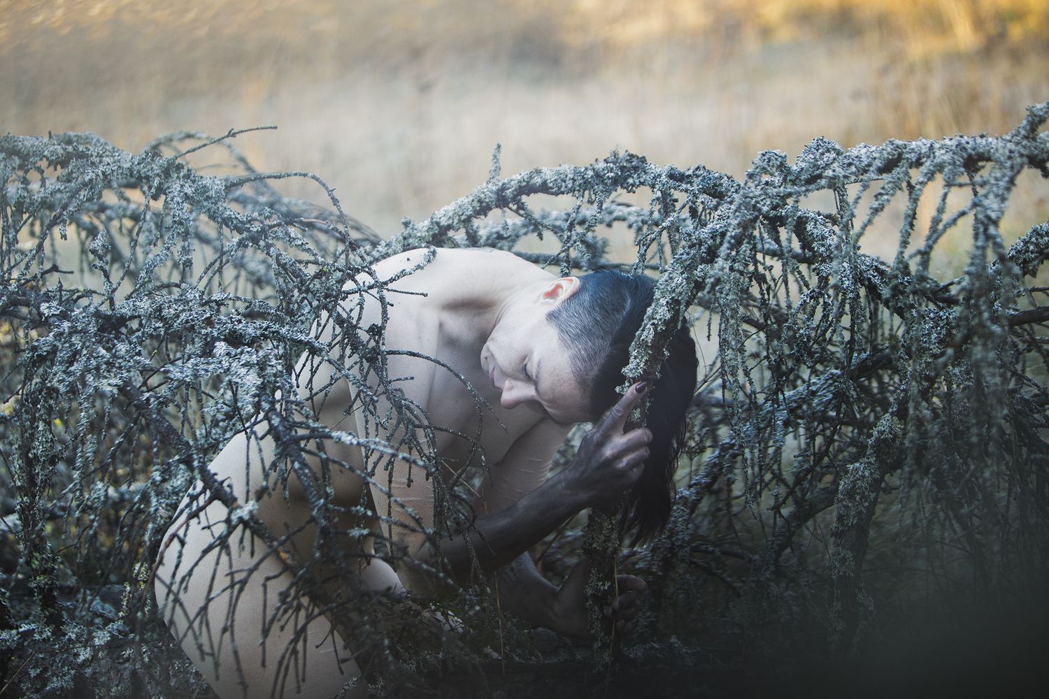 Ethereal nature photograph showing a figure among misty blue branches at twilight.