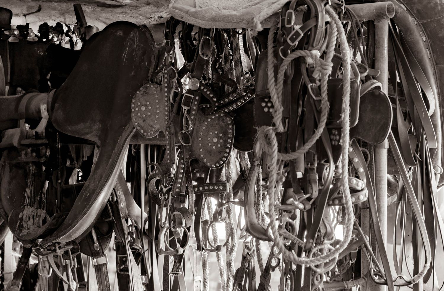 Homestead style South Dakota Photography