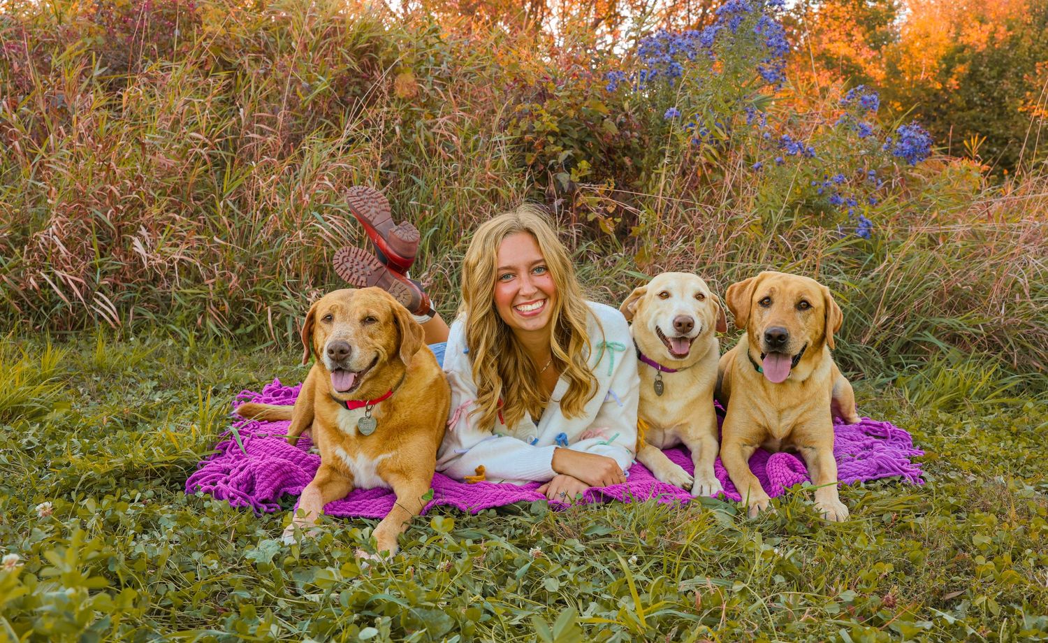 Pet Photography