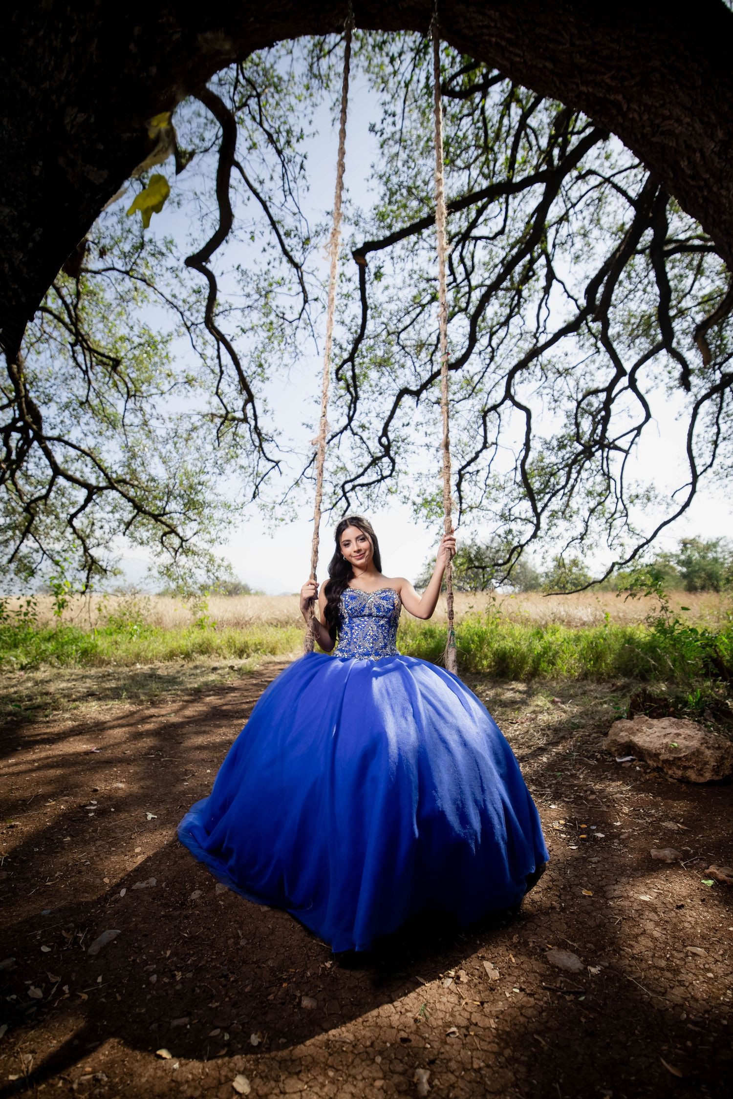Royal blue quinceañera dress photographed under dramatic tree branches.
