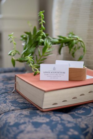 A business card sits on a pink book with a small potted succulent plant on a blue patterned surface.