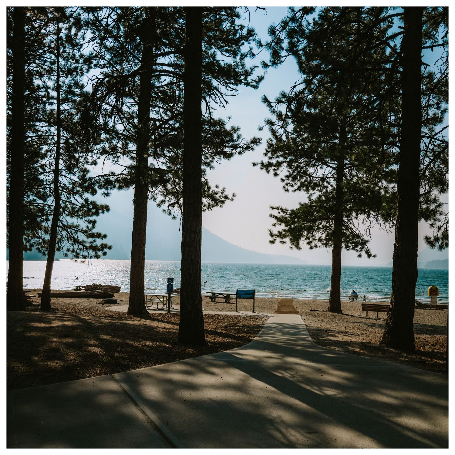 Row of pine trees silhouetted against Lake Tahoe's blue waters.