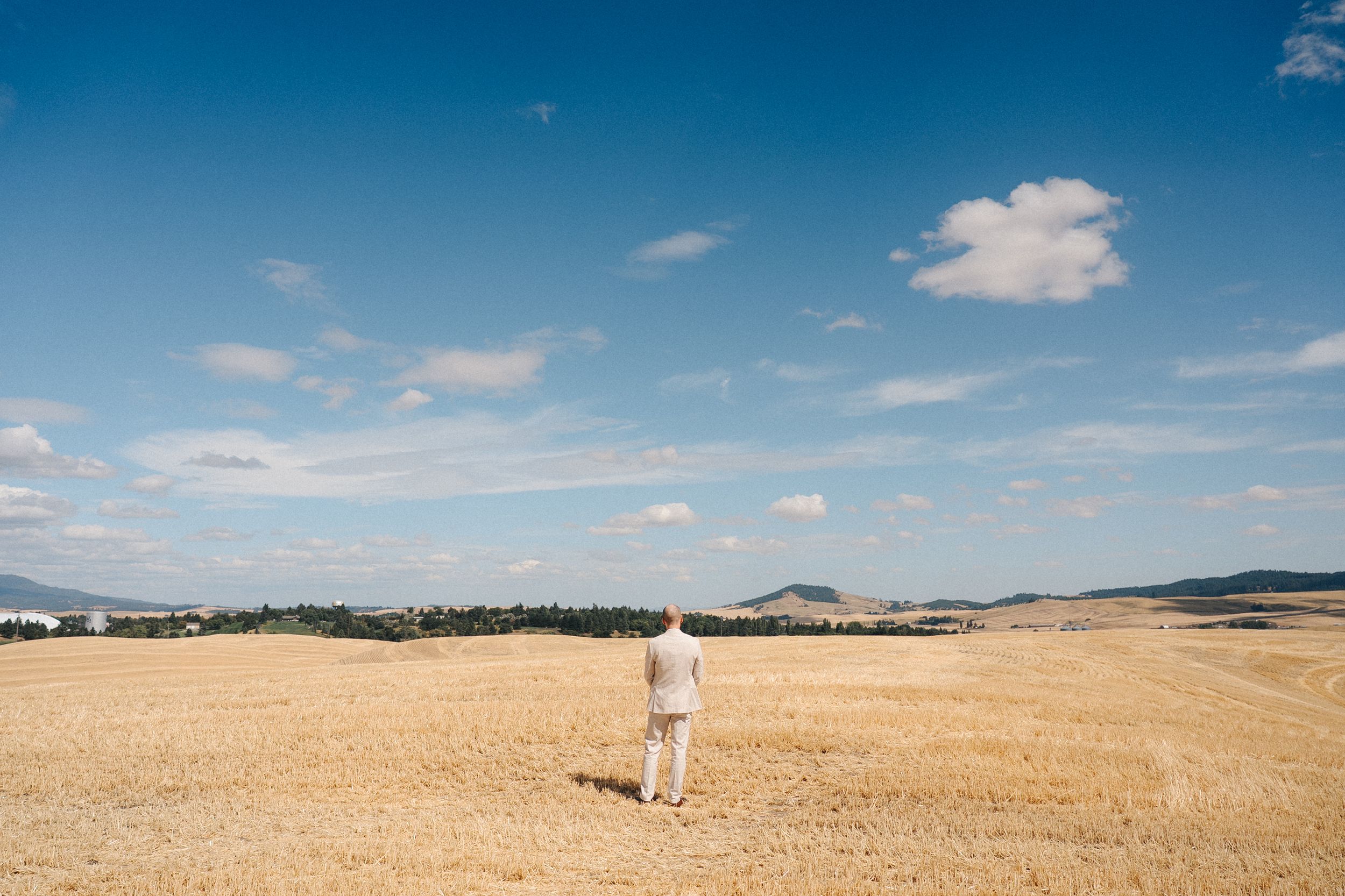 A panoramic view of golden wheat fields stretching to the horizon under a bright blue summer sky with scattered clouds.