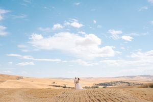 Panoramic view of wheat fields stretching to horizon under bright blue summer sky.