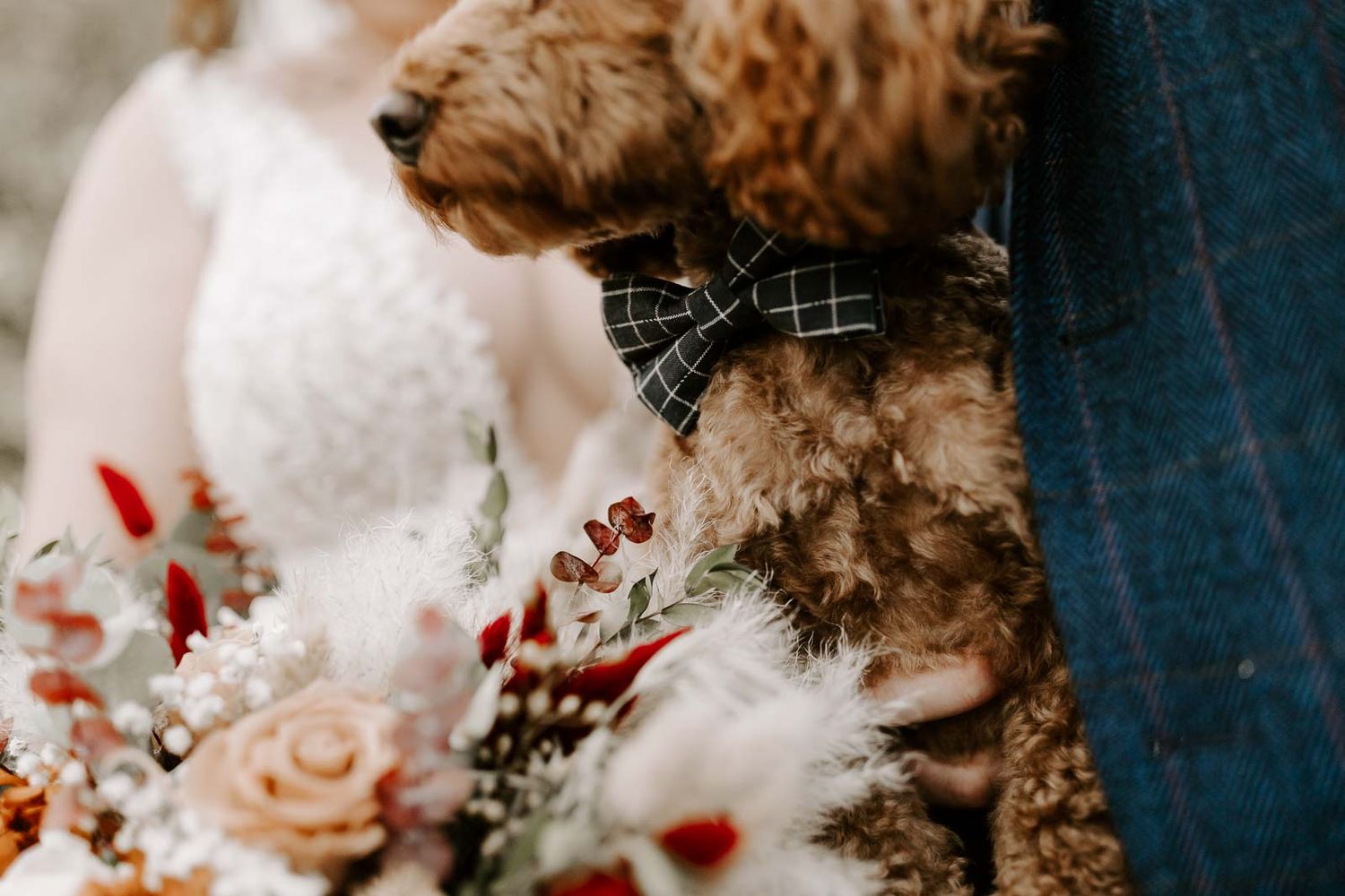 Couple shares romantic kiss at wedding with their adorable brown goldendoodle dog and peach and burgundy floral bouquet.