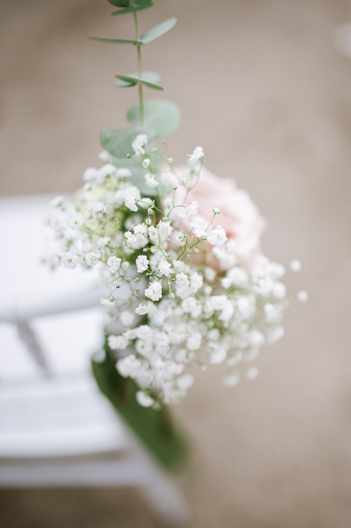 Delicate white baby's breath flowers with soft green stems in macro detail.