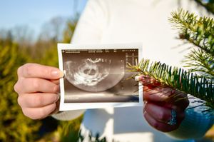 Hands holding ultrasound photos against evergreen branch background.