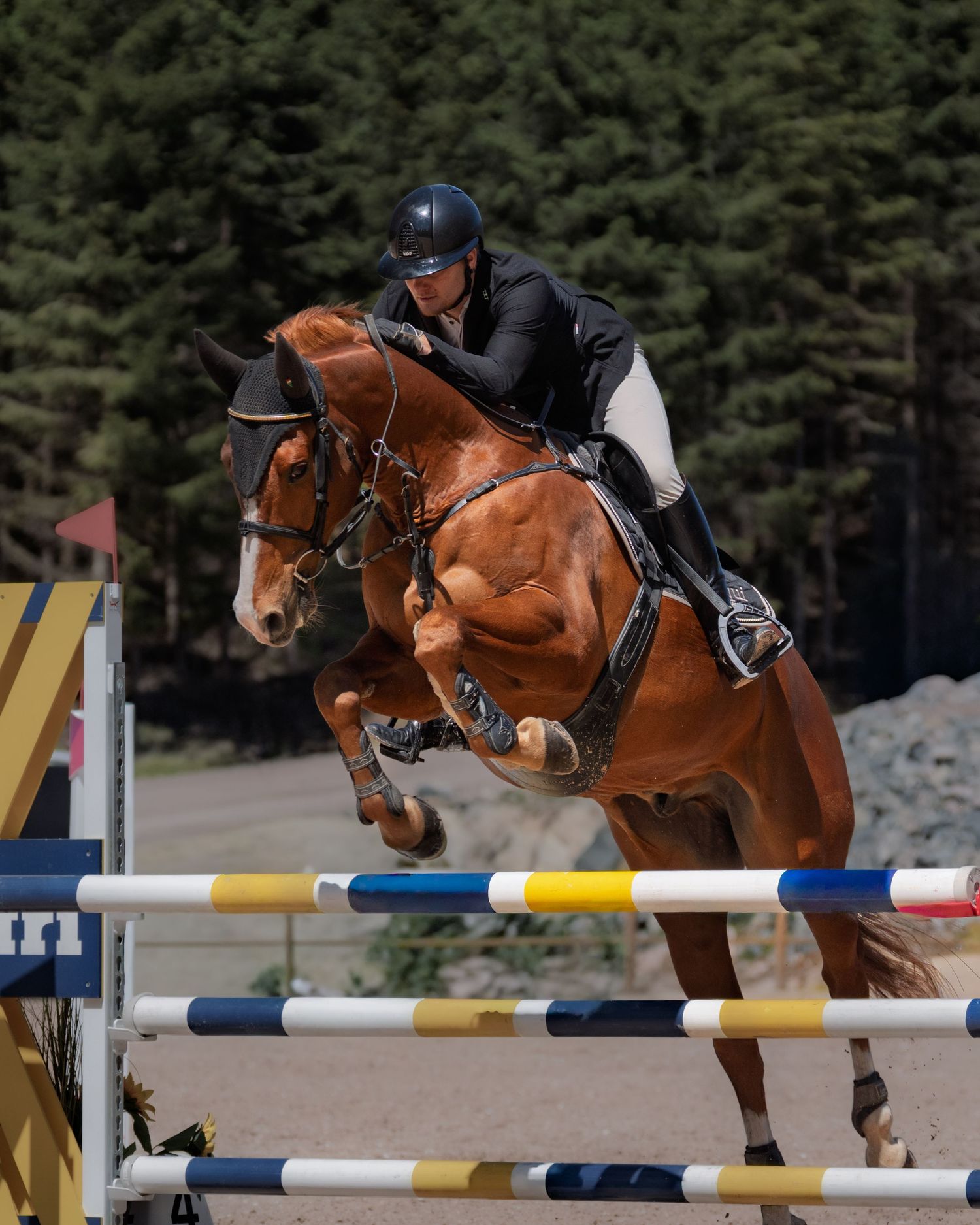 A chestnut horse and rider clearing a colorful show jumping fence during an equestrian competition.