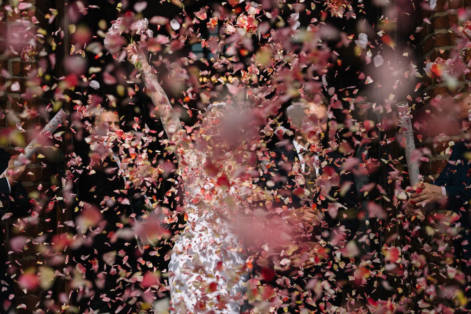 Pink cherry blossoms falling against a dark background create a dreamy spring atmosphere.
