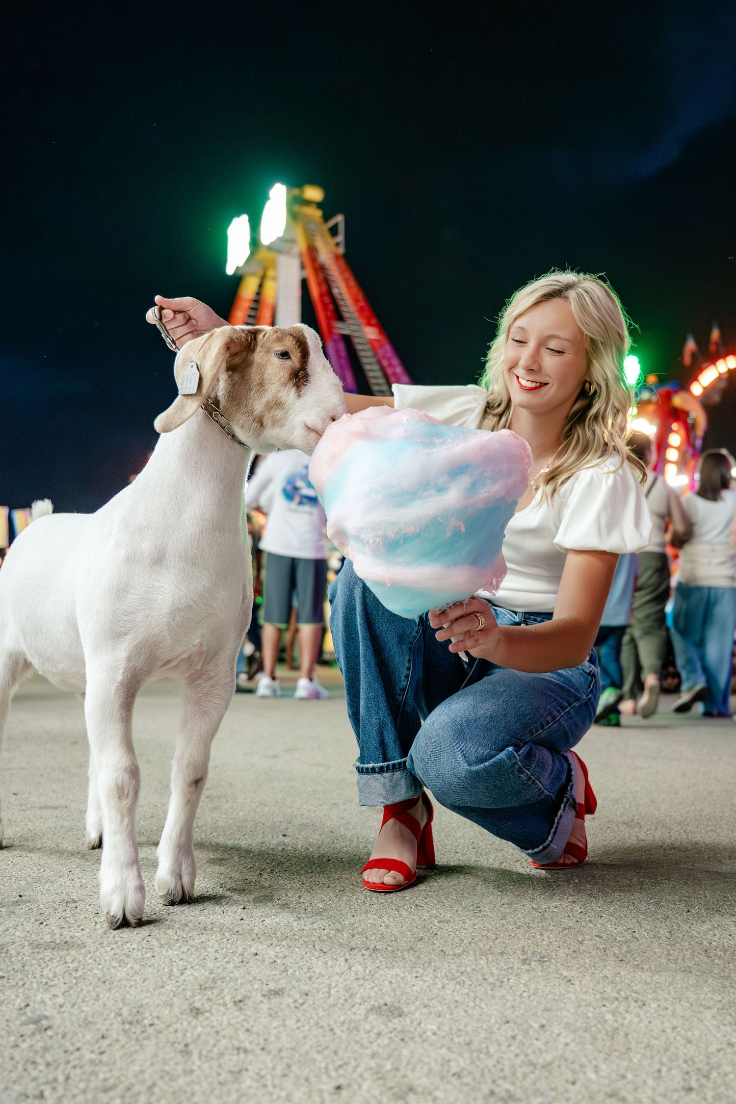 A white dog sits patiently next to someone holding cotton candy at a nighttime carnival or fair.