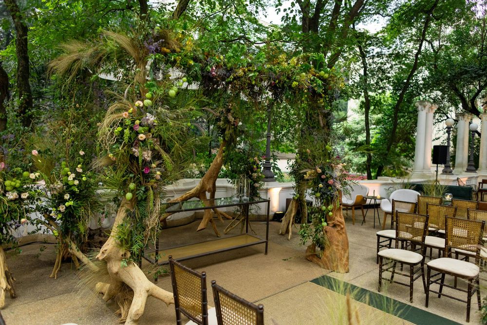 Tree-covered outdoor dining terrace with natural canopy and scattered seating arrangements.