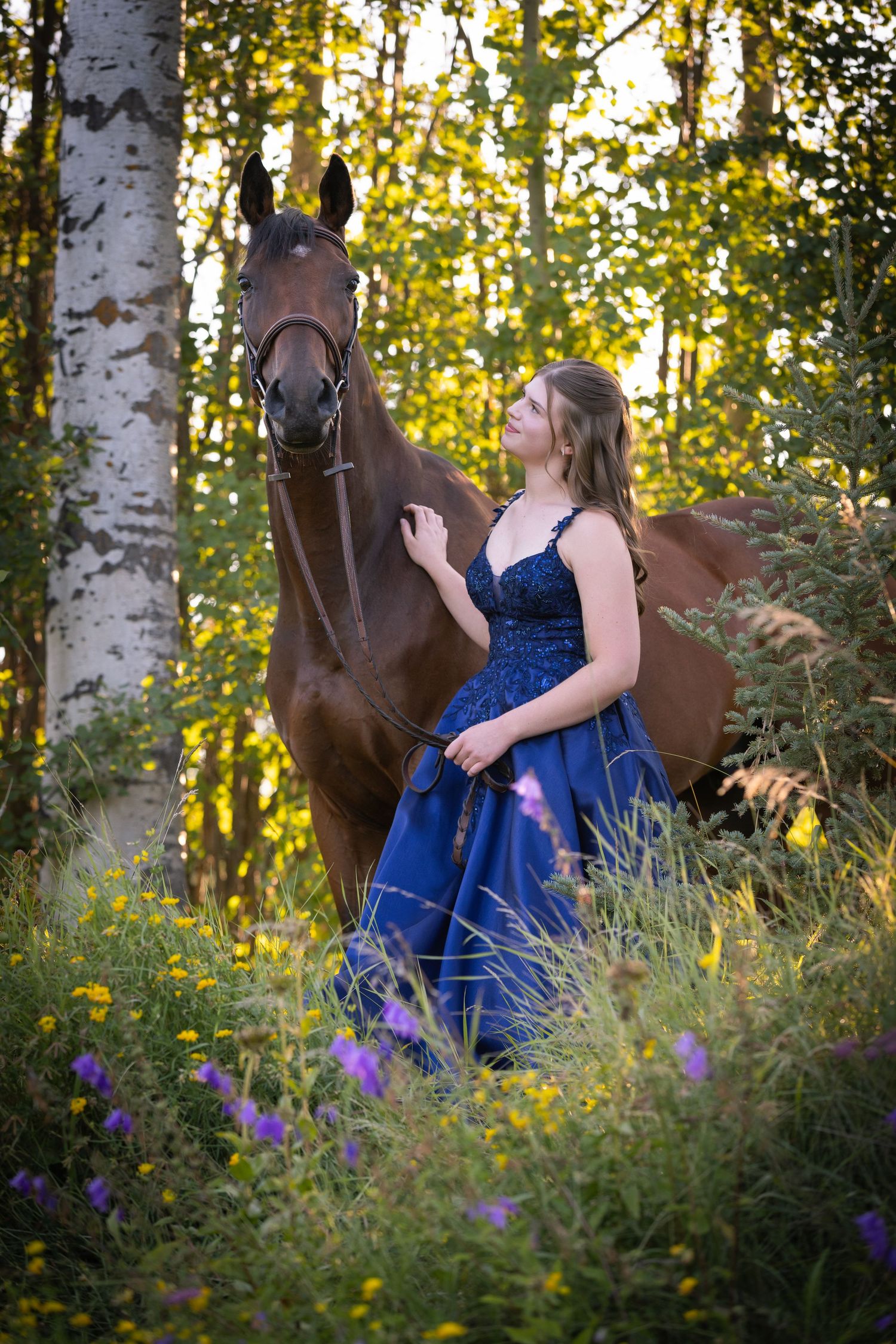 A rider and brown horse share a tender moment in a golden-lit field during sunset.
