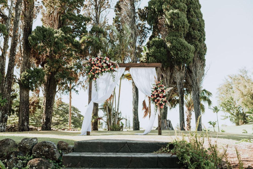 A tree-lined pathway in a park with tall cypress trees creating a natural archway on a sunny day.