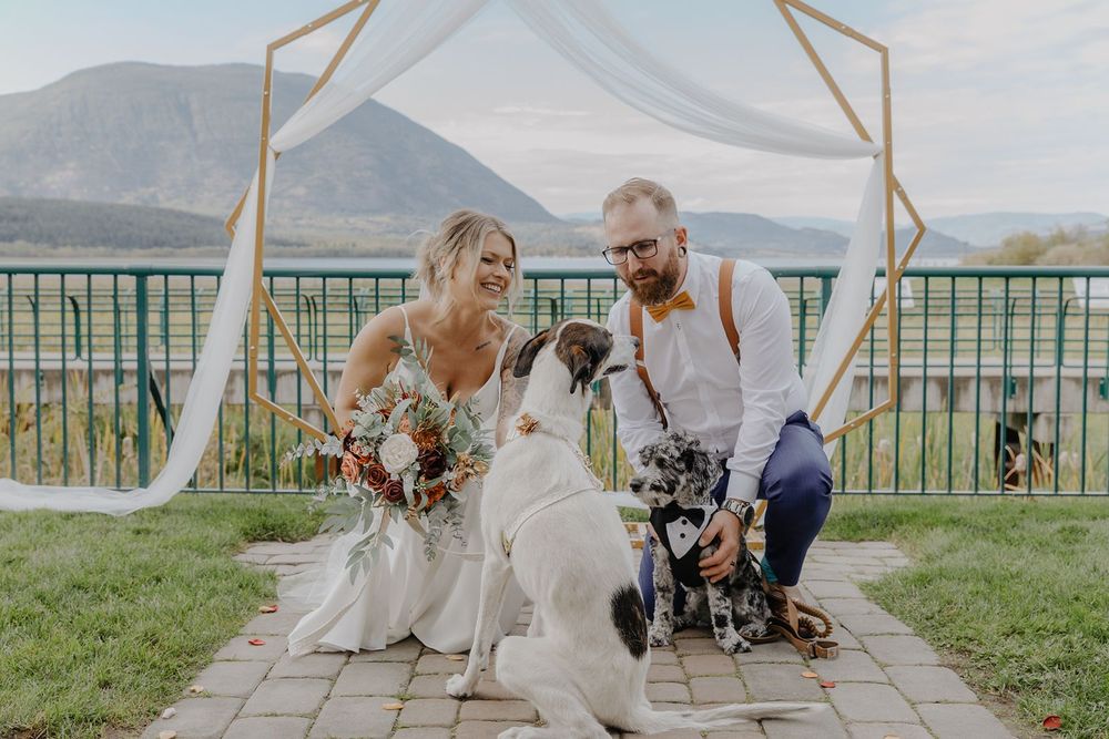 Bride and groom kneeling with two large dogs under gold arch with mountain backdrop at outdoor venue.