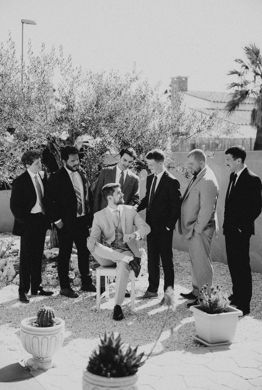 A group gathers around a planting ceremony in a garden, showing multiple angles of people participating in the event.