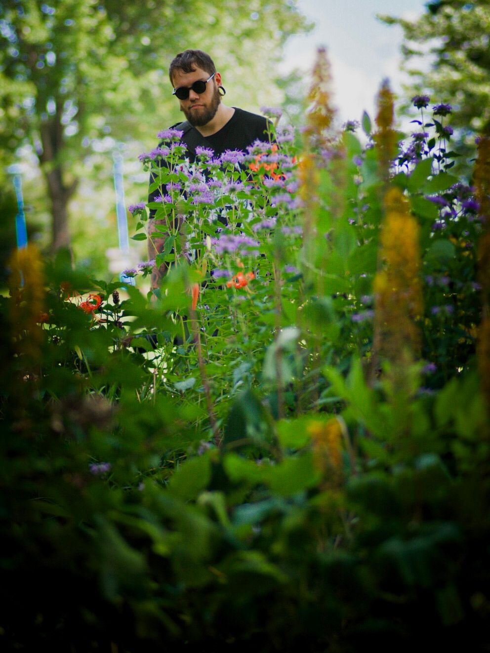 Colorful garden scene with purple and orange wildflowers in soft focus foreground.