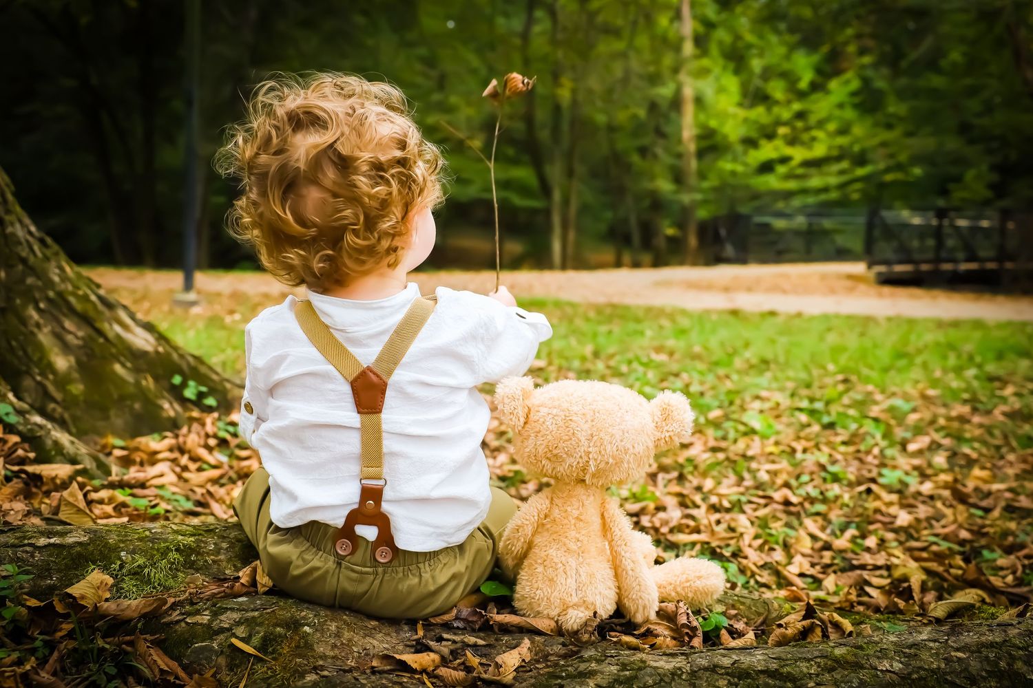 Autumn scene with teddy bear and white clothing details among fallen leaves.