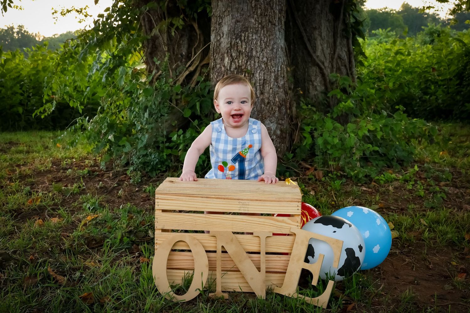Outdoor first birthday photo with wooden crate and blue balloon decorations.