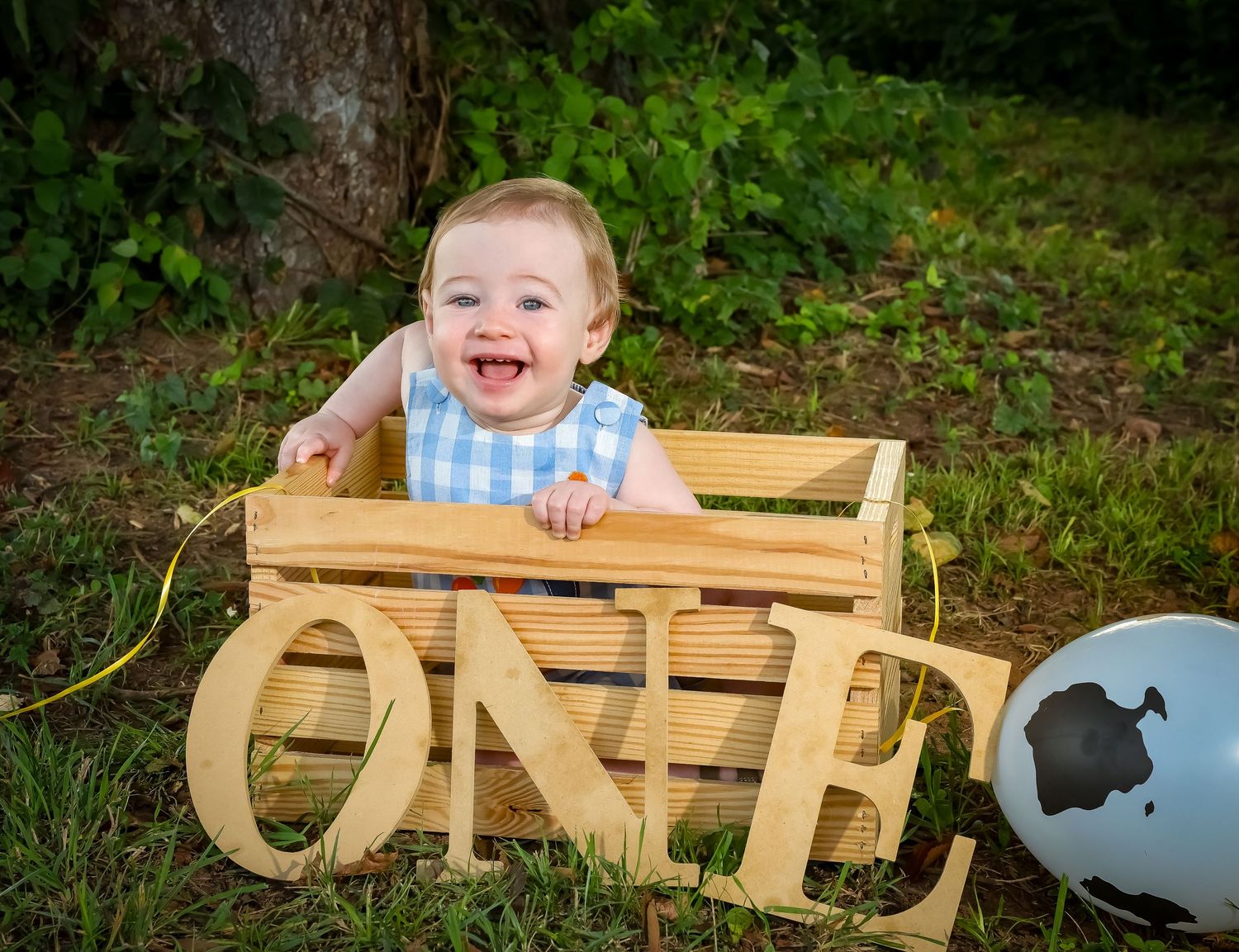 First birthday photo in wooden crate with blue gingham outfit in outdoor setting.