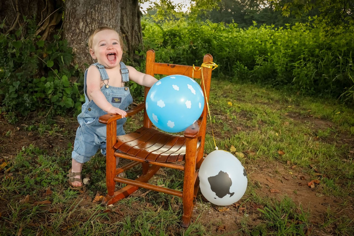 Outdoor photo series showing a rustic wooden bench and blue balloon against a green natural backdrop.