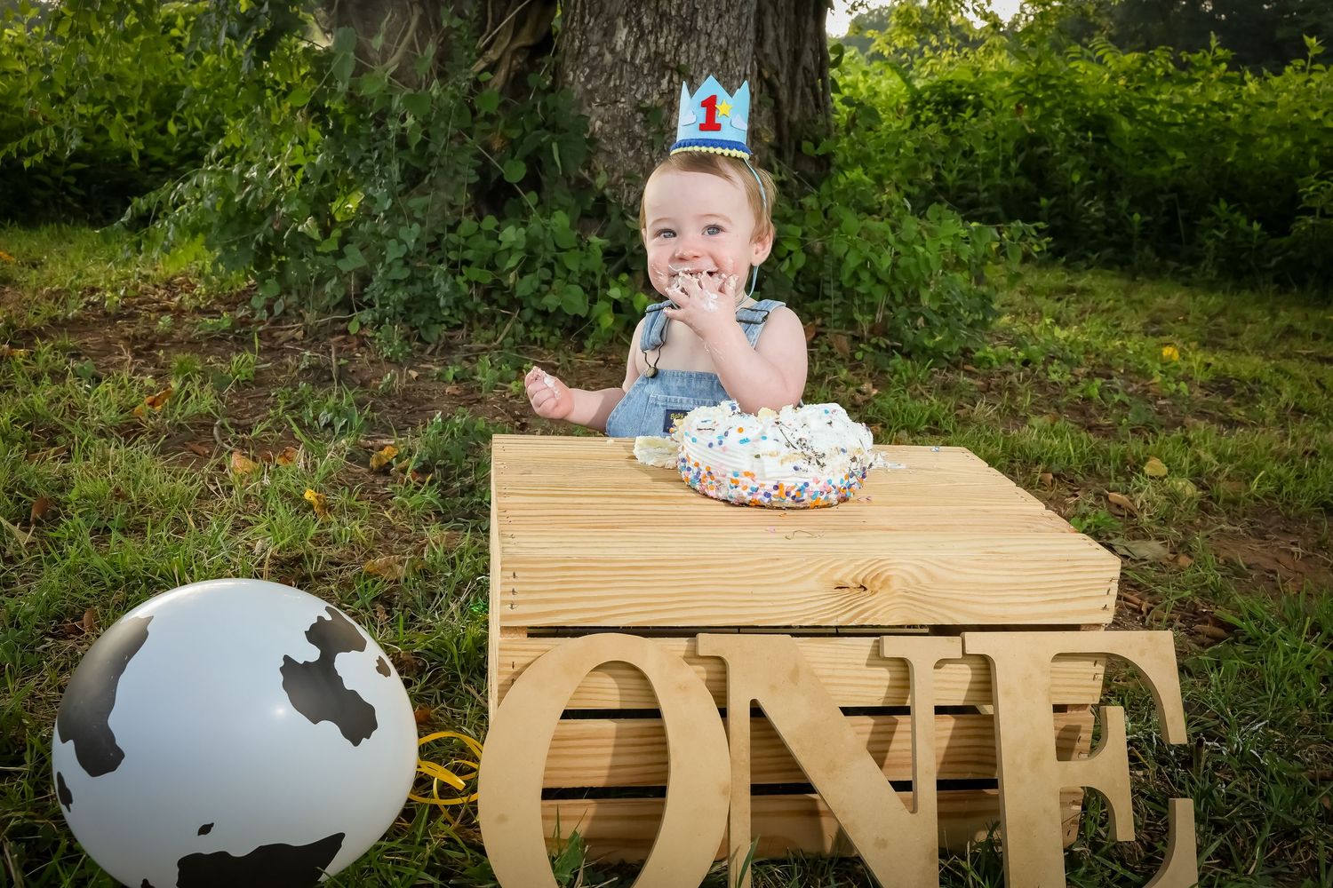 Decorative wooden letters spelling 'ONE' displayed on a natural outdoor setting.