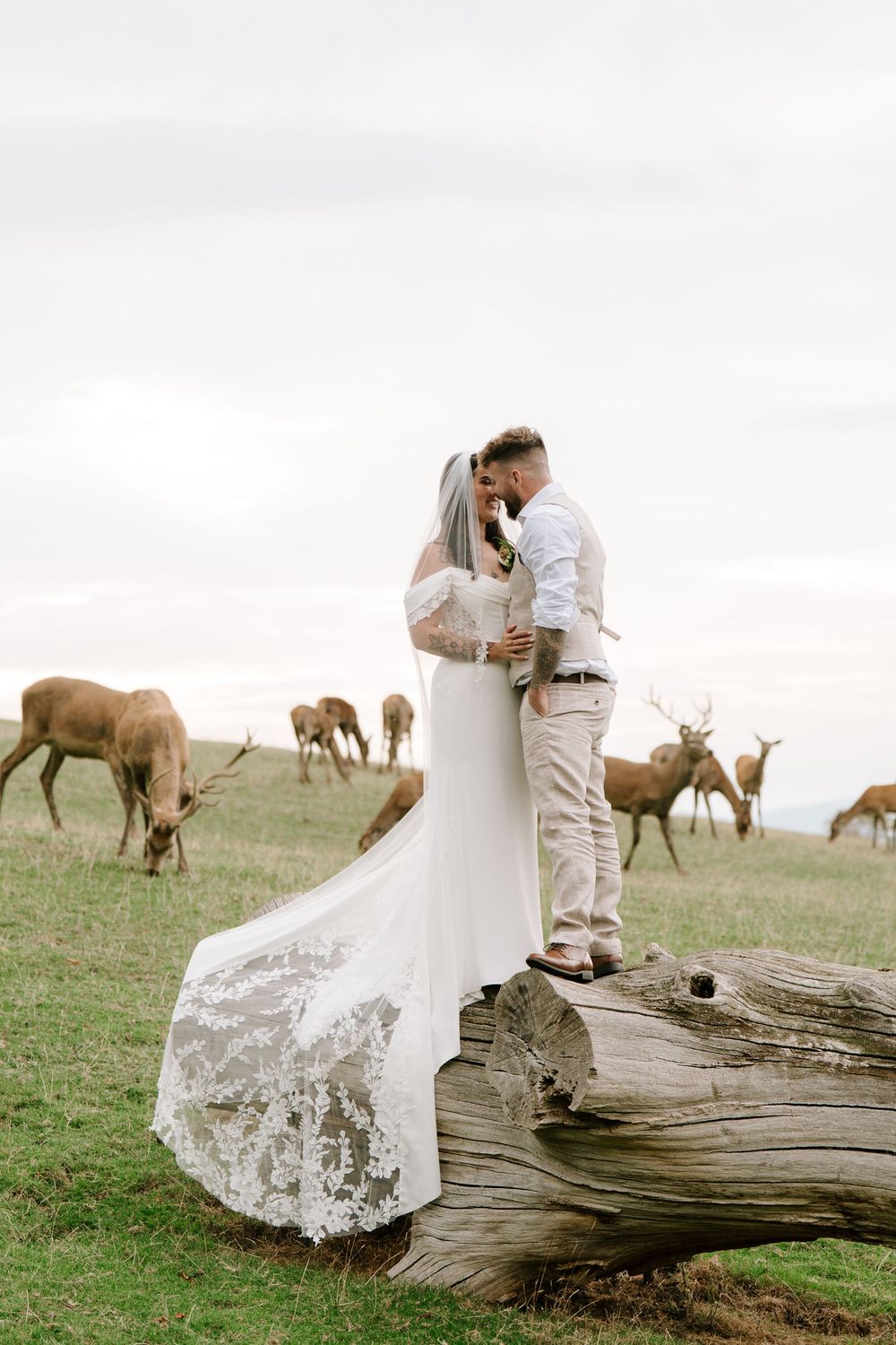 A couple sits together on a fallen log in a grassy meadow with deer wandering in the distance.
