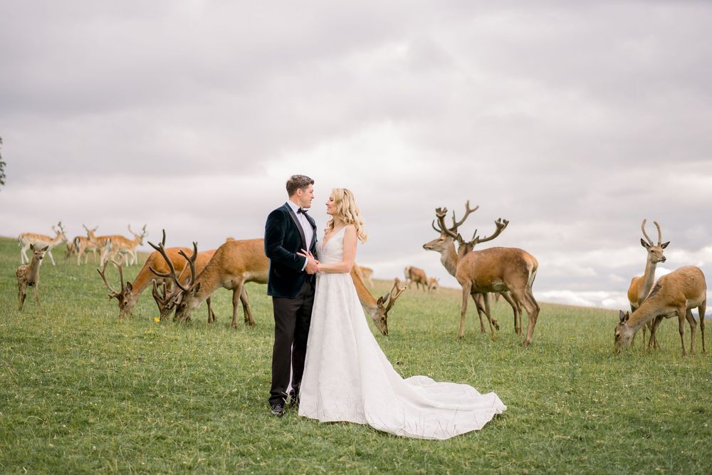 A couple in wedding attire poses in a grassy field with a herd of deer grazing in the background.