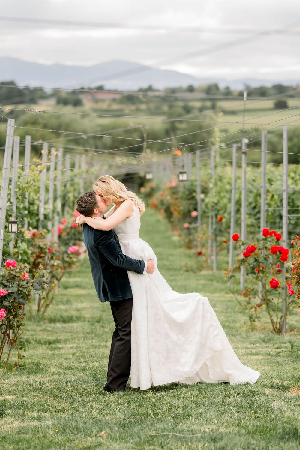 A couple shares a romantic moment in a vineyard with red roses and mountains in the background.