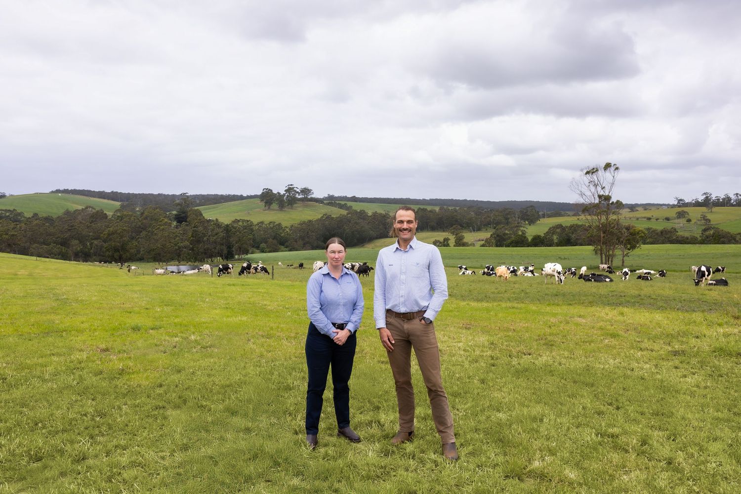 A group of people stand in a green pasture with grazing cows visible in the background under cloudy skies.