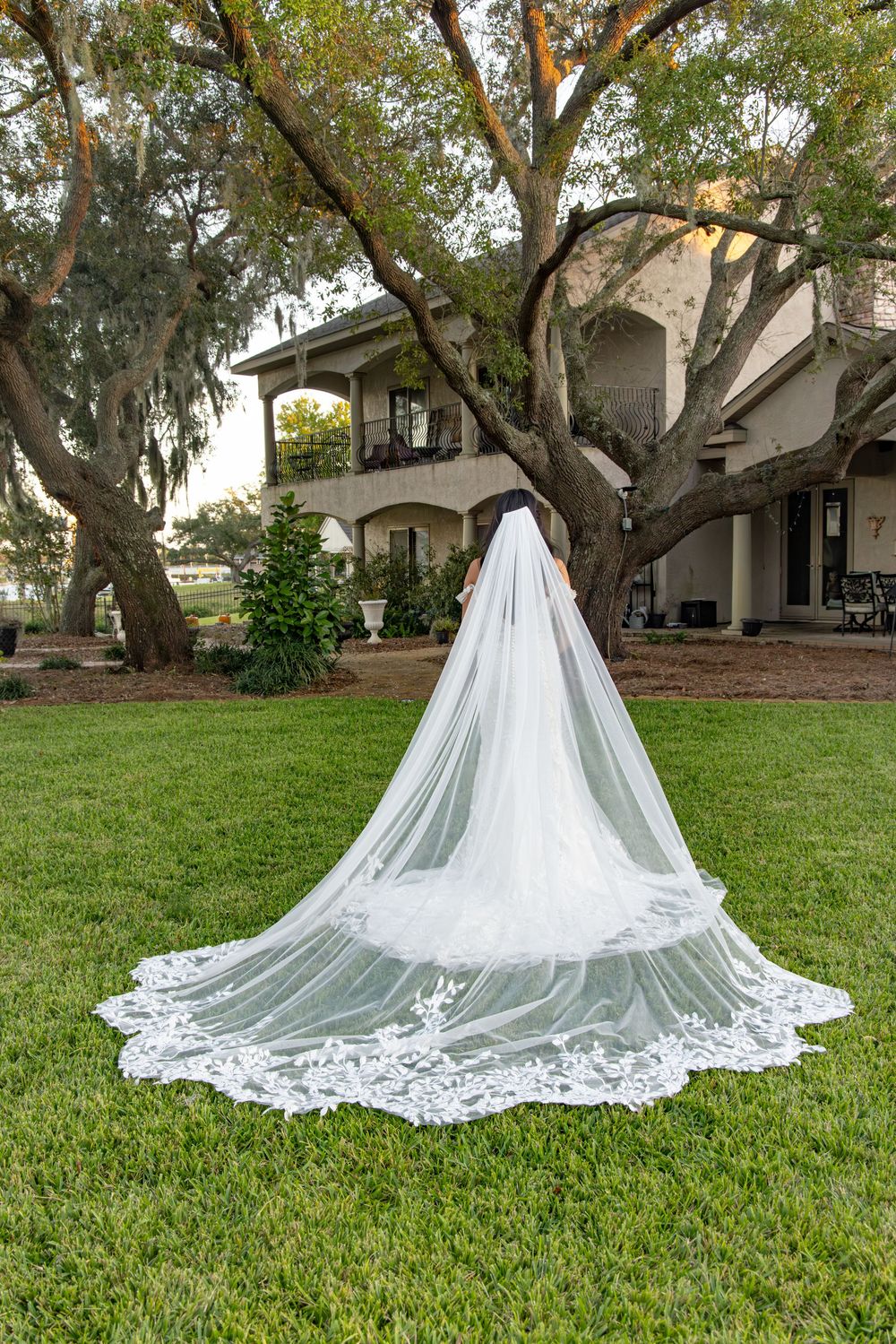A stunning cathedral-length lace wedding veil laid out on green grass with trees in the background.