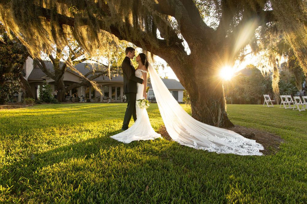 Wedding couple silhouetted at sunset in a grassy field with Spanish moss hanging from trees.