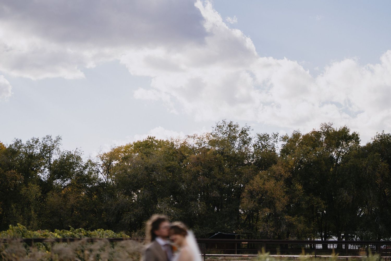 Romantic blurred silhouette of bride and groom embracing under dramatic cloudy sky with autumn trees.