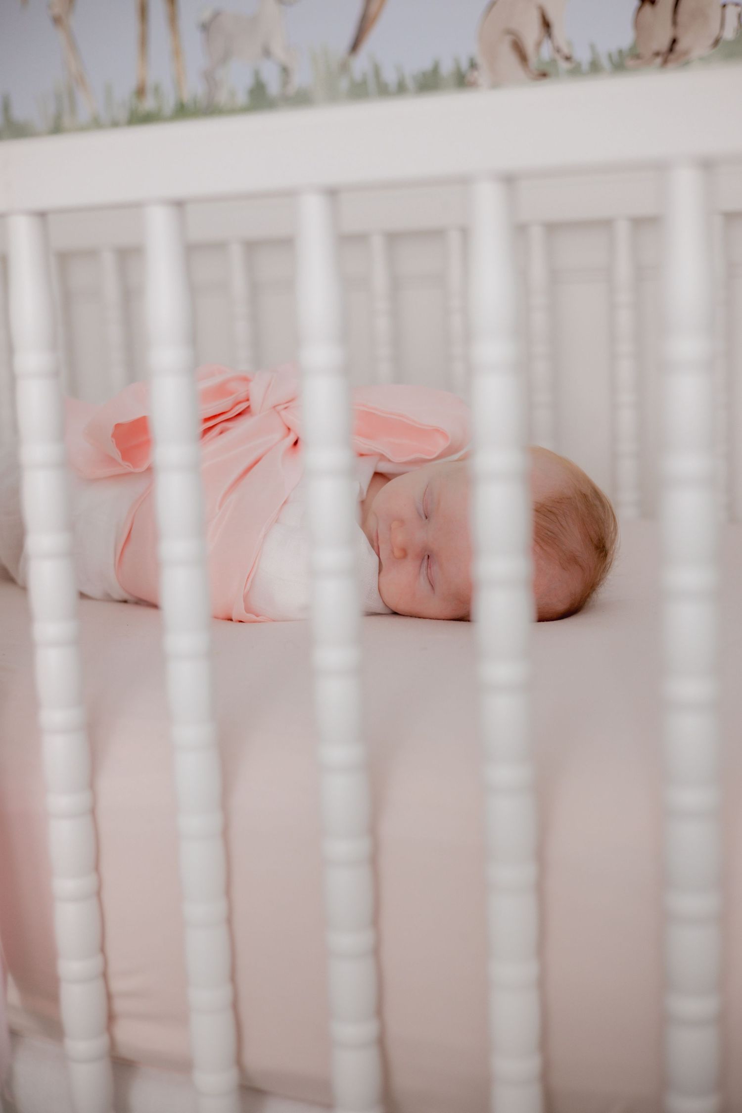 Newborn photography.