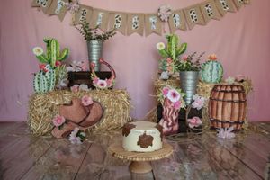 Rustic barnyard themed party setup with burlap banner, hay bales, cacti decorations and pink backdrop.