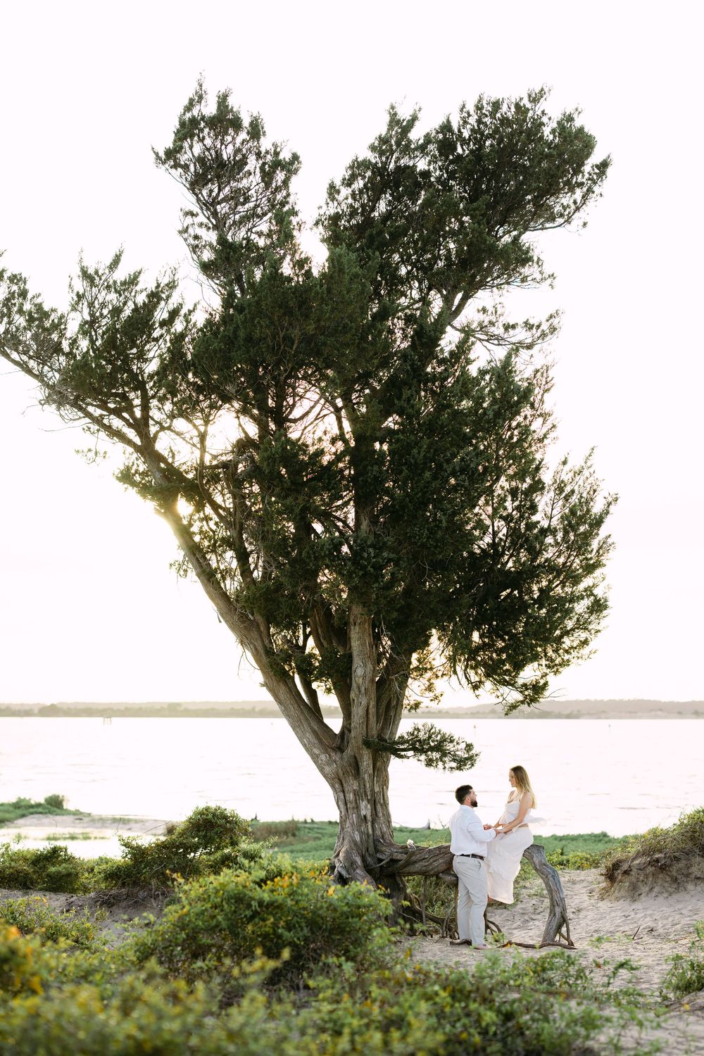 Couple standing together under a large coastal tree at golden hour with sandy beach and water in the background.