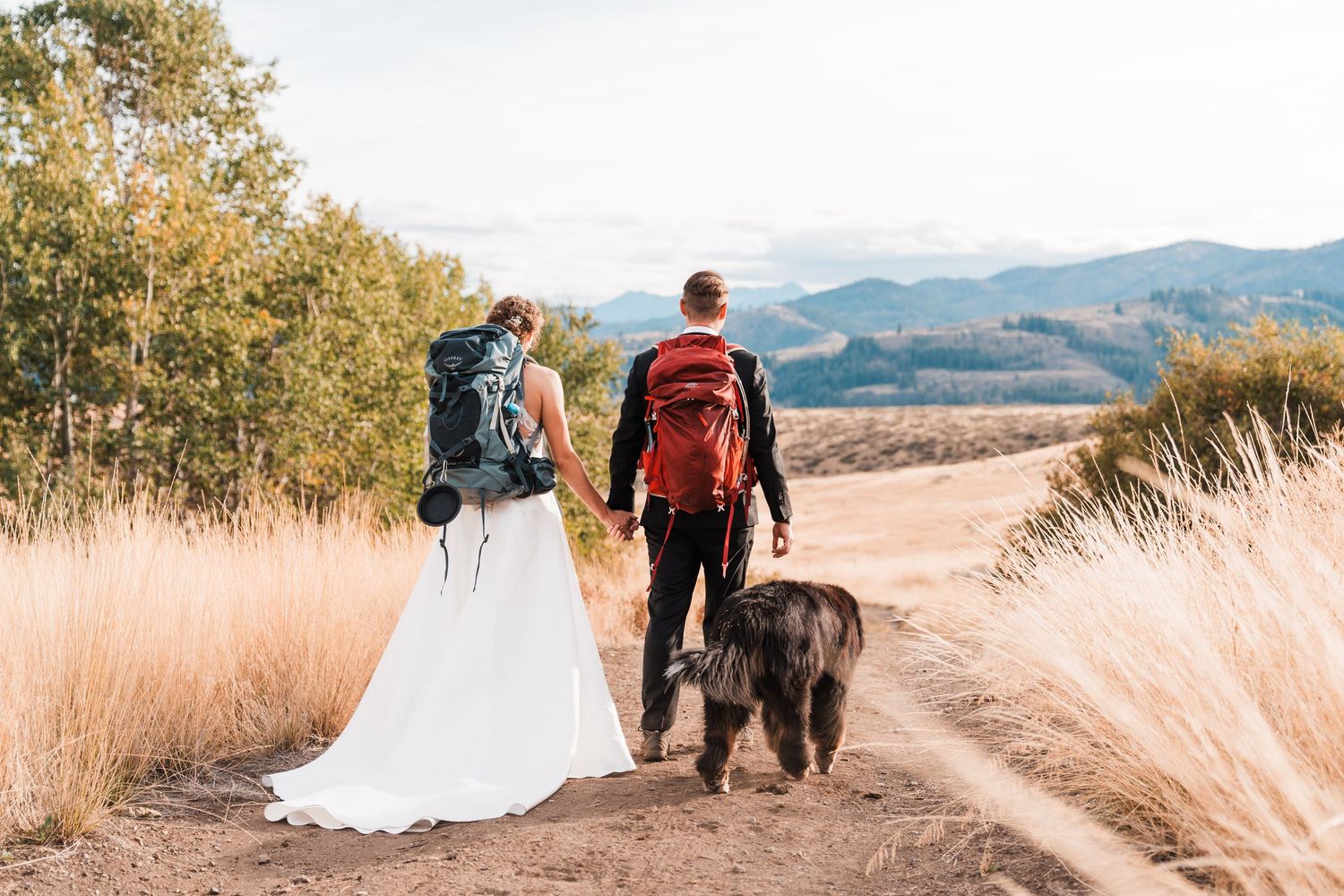 Bride and groom in wedding attire with hiking backpacks walk a dirt trail with their dog, mountains in background. north cascades elopement