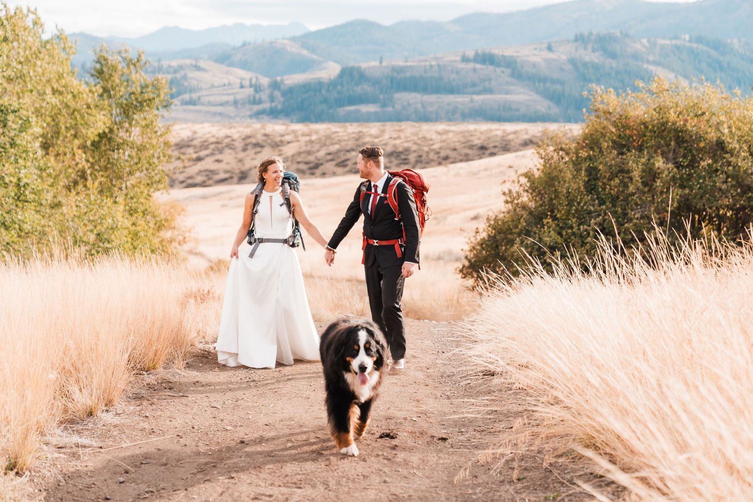 Bride and groom walk with Bernese Mountain Dog on scenic trail with rolling hills at outdoor wedding.north cascades elopement wedding