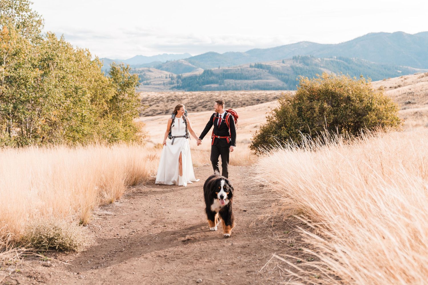 Newlywed couple walks hand-in-hand on a mountain trail with their Bernese Mountain Dog on their wedding day. north cascades elopement weddin