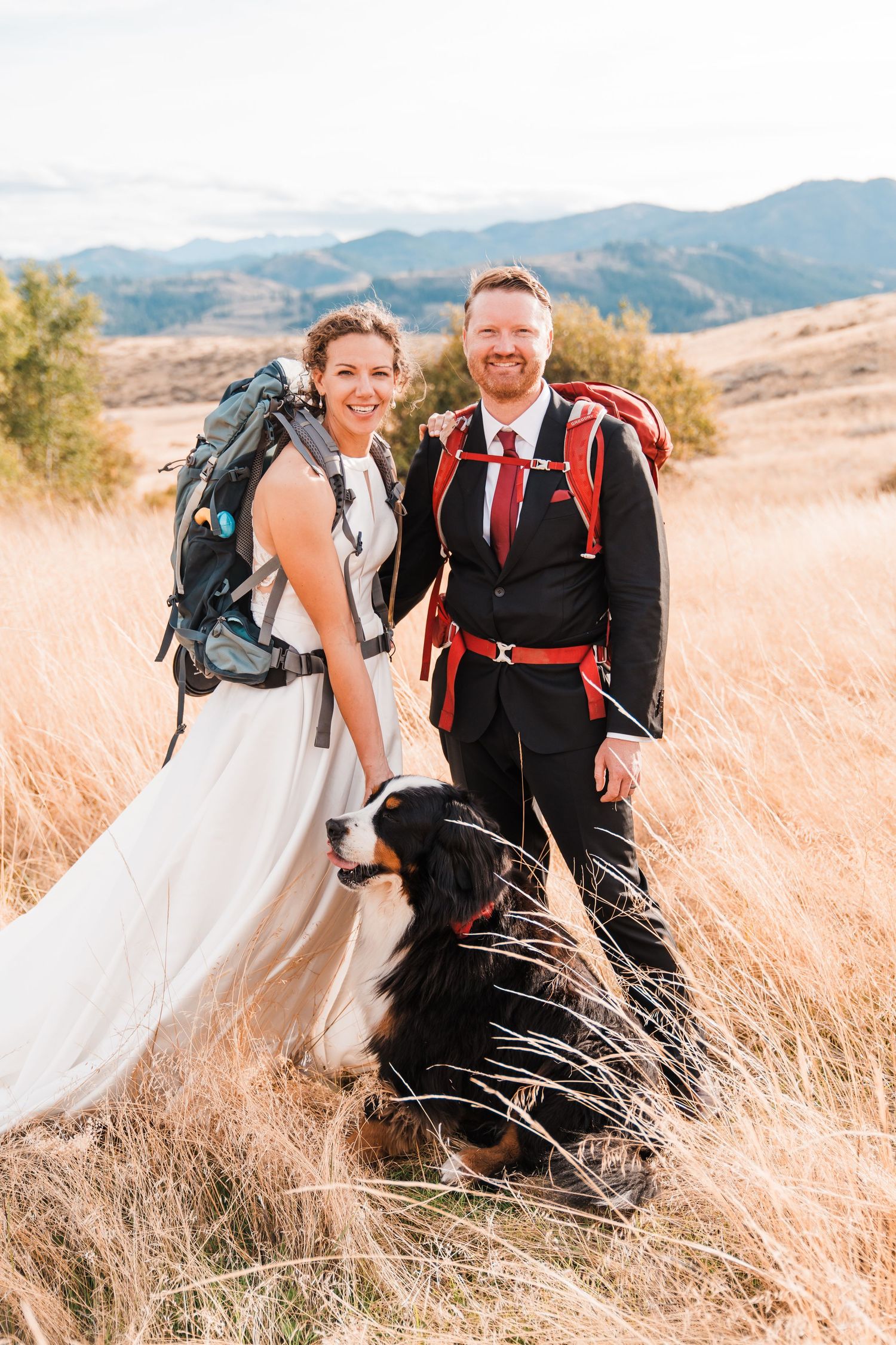 Bride and groom in hiking backpacks pose with Bernese Mountain Dog in golden field. north cascades elopement wedding