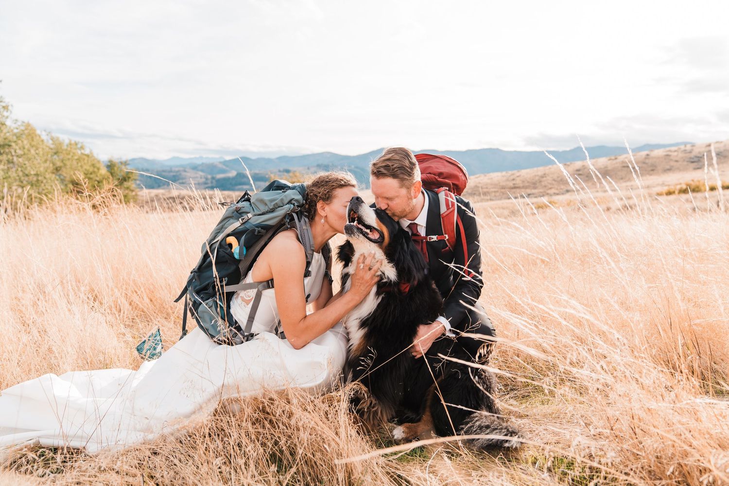 Bride and groom in wedding attire with hiking backpacks kneel in golden field petting their Bernese Mountain Dog.north cascades elopement we