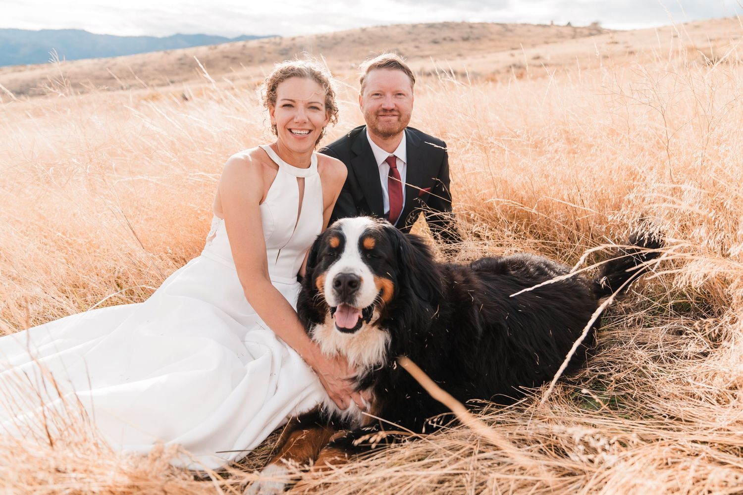 Happy couple sits with Bernese Mountain Dog in golden grass field during outdoor wedding photos. north cascades elopement wedding