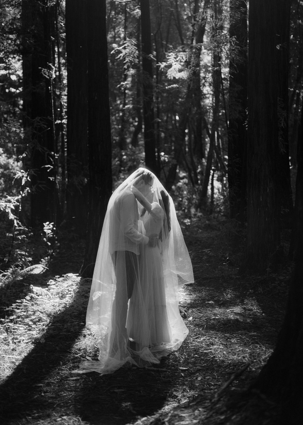 A bride and groom share a kiss under a flowing veil in a sunlit forest, captured in black and white.
