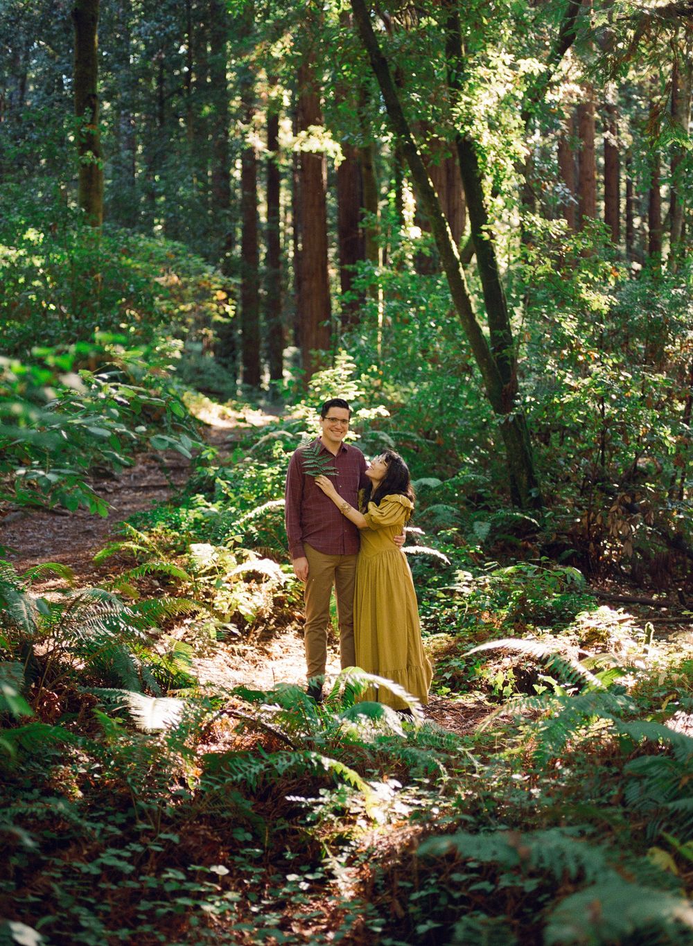 Couple embracing in sunlit redwood forest surrounded by lush green ferns on a forest path.